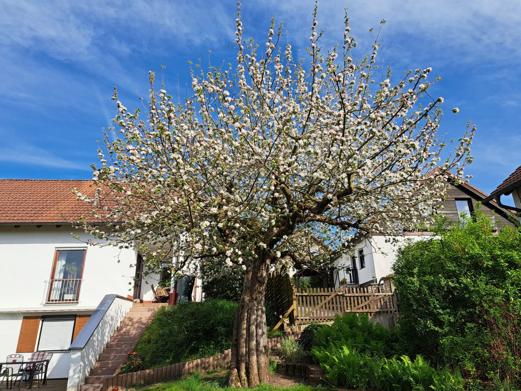 Garten im Fürstentum Sörgien